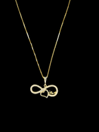 The Infinite Love Necklace